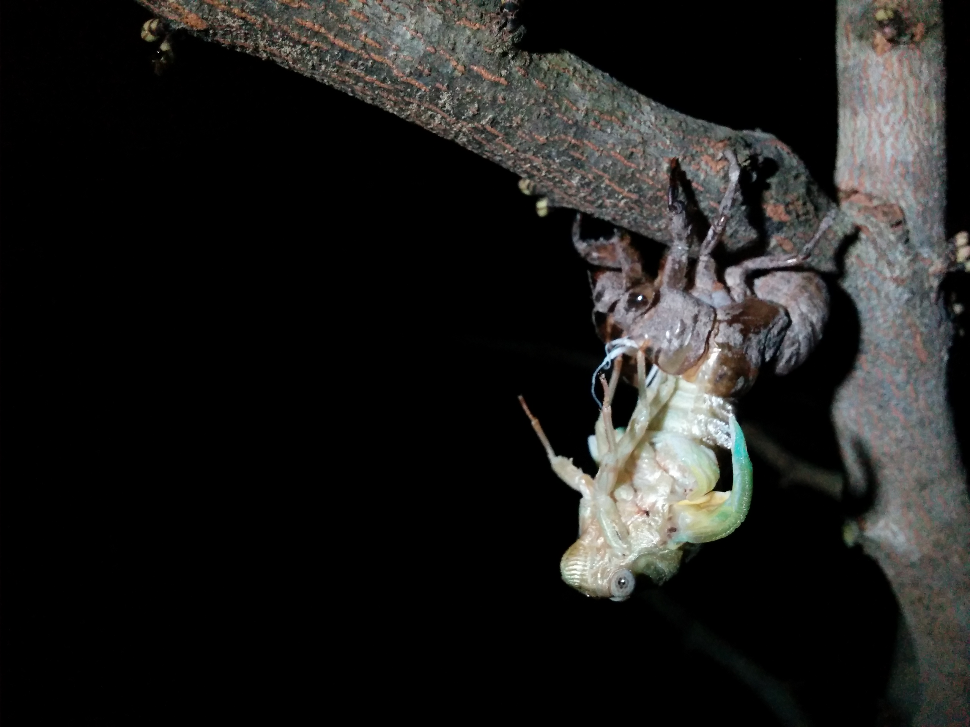 Cover Image for What I believe